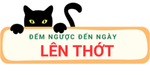 Đếm ngược đến ngày lên thớt